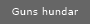 Guns hundar
