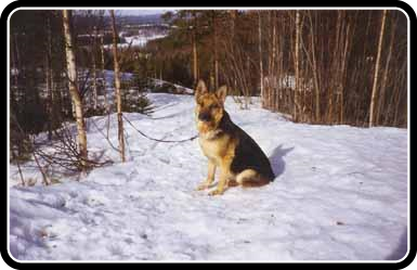 kargalandetsvarnapapromenad1.jpg